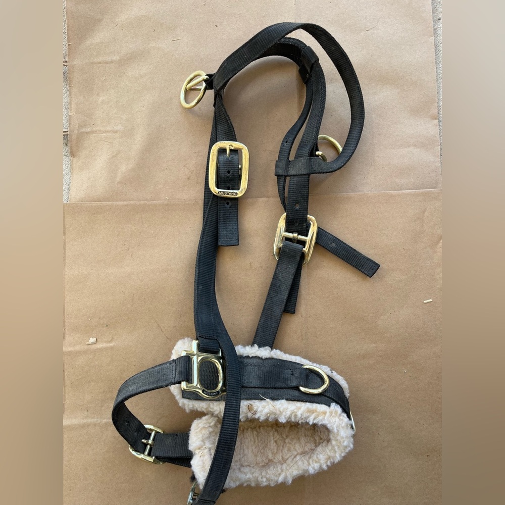 Mustang Nylon Lunging Caveson